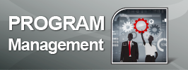 Program Management
