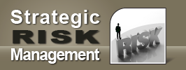 Strategic Risk Management