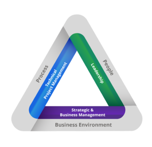 Talent Triangle